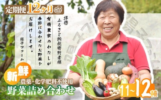 ＜12ヵ月定期便＞旬の野菜詰め合わせ11種~12種 | 野菜 定期便 季節の野菜 旬の野菜 新鮮野菜 産地直送 栽培期間中農薬不使用 有機 オーガニック フレッシュ セット 詰め合わせ サラダ 料理 炒め物 煮物 スムージー 旬 おいしい 安全 安心 お取り寄せ ギフト おすすめ 3回 6回 12回 世界農業遺産 埼玉県 所沢市