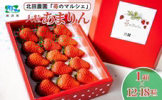 <先行予約/数量限定>苺マルシェ 大粒あまりん 1箱 (12~18粒)  | 苺 いちご ストロベリー あまりん 甘い 濃厚 おいしい ジューシー 果物 フルーツ 産地直送 フレッシュ 人気 おすすめ デザート お取り寄せ 贈り物  埼玉県 所沢市