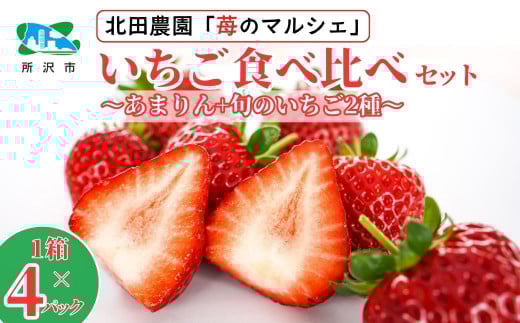 ＜先行予約/数量限定＞ 苺マルシェ 旬のいちご食べ比べセット 1箱(4パック入り) 所沢北田農園 | 苺 いちご ストロベリー あまりん かおりん べにたま あきひめ 甘い 濃厚 おいしい ジューシー 果物 フルーツ 産地直送 フレッシュ 人気 おすすめ デザート お取り寄せ 贈り物 高級 埼玉県 所沢市