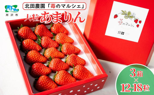 <先行予約/数量限定>苺マルシェ 大粒あまりん 3箱 (12~18粒) | 苺 いちご ストロベリー あまりん 甘い 濃厚 おいしい ジューシー 果物 フルーツ 産地直送 フレッシュ 人気 おすすめ デザート お取り寄せ 贈り物 埼玉県 所沢市