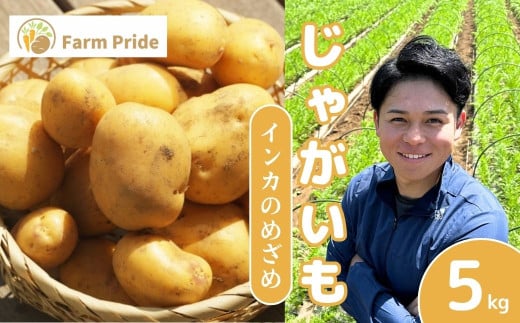 [先行予約]Farm Prideが育てた じゃがいも インカのめざめ 5kg | じゃがいも インカのめざめ 野菜 料理 素揚げ ポテトチップス 産地直送 株式会社farmpride 埼玉県 所沢市