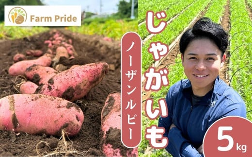 [先行予約]Farm Prideが育てた じゃがいも ノーザンルビー 5kg | じゃがいも ノーザンルビー 野菜 料理 サラダ シチュー ニョッキ 産地直送 株式会社farmpride 埼玉県 所沢市