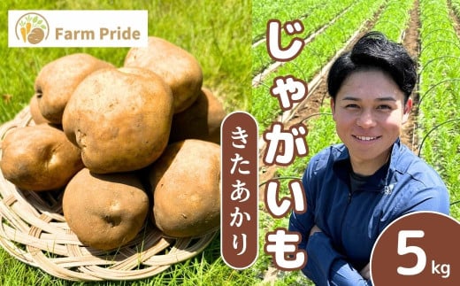 [先行予約]Farm Prideが育てた じゃがいも きたあかり 5kg | じゃがいも きたあかり キタアカリ 野菜 料理 ポテトサラダ じゃがバター 産地直送 株式会社farmpride 埼玉県 所沢市
