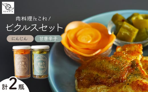 ピクルス 「肉料理にこれ！ ピクルスセット」 ご自宅用 | ピクルス 漬物 漬け物 つけもの お漬物 人参 にんじん バニラ 甘とうがらし 詰め合わせ お取り寄せ お土産 おすすめ 人気 ハテナソース HATENASAUCE 埼玉県 所沢市