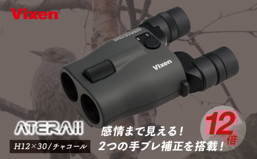 防振双眼鏡 ビクセン アテラ ATERAII H12x30 (チャコール) | Vixen 双眼鏡 正規品 軽量 コンパクト 防水 天体観測 ライブ コンサート スポーツ観戦 野鳥観察 バードウォッチング スターウォッチング 株式会社ビクセン 埼玉県 所沢市
