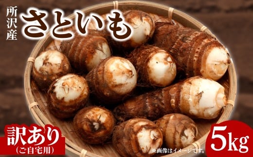 里芋 5kg 訳あり ご自宅用 | さといも サトイモ 50個 ～ 70個 芋 いも イモ 根菜 野菜 芋煮 煮物 煮込み 味噌汁 みそ汁 揚げ物 揚物 料理 鍋 和食 新鮮 掘りたて ねっとり 国産 産地直送 季節限定 訳あり ワケアリ 訳アリ 家庭用 鈴宗園 埼玉県 所沢市