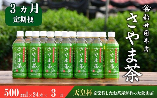 【定期便3ヵ月】お茶 さやま茶ペットボトル 500ml×24本 | お茶ペットボトル 緑茶ペットボトル おちゃぺっとぼとる ペットボトル ぺっとぼとる 茶 狭山茶 さやまちゃ 日本茶 緑茶 濃厚 コク 香り 風味 まろやか 美味しい おすすめ ギフト 3ヵ月 3カ月 3か月 3ヶ月 3ケ月 3回 お土産 プレゼント 贈答 新井園本店 埼玉県 所沢市