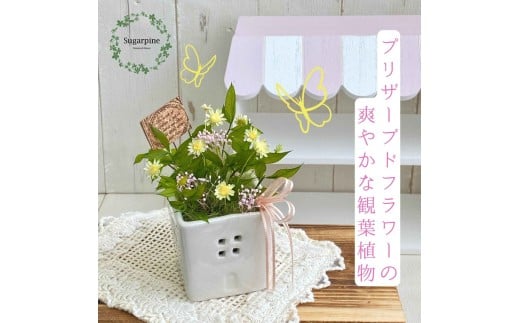 プリザーブドフラワー　ファム　ピンク　春日部市　シュガーパイン（AJ255）