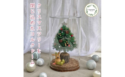 プリザーブドフラワー　レンヌ　春日部市　シュガーパイン（AJ265）