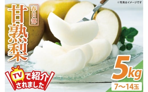 森田さんが作った☆春日部甘熟梨5kg☆(7~14玉)(BG001-1)