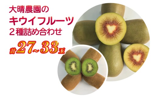 春日部市「産直の里大晴農園 内牧」キウイフルーツ２種詰め合わせ　27～33玉入り【本州限定】（BY003-3）