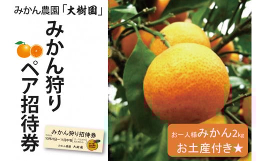 みかん狩り ペア招待券（お土産付き）【果物 フルーツ狩り 有機栽培 バリアフリー 春日部市 埼玉県】（CH001-1 ）