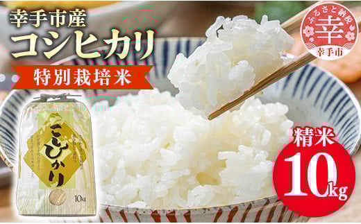 【令和7年産】有機肥料100% 埼玉県幸手市産特別栽培コシヒカリ 精米10kg -2025年10月1週目より順次発送 新米発送 コシヒカリ こしひかり 米 精米 10kg 有機肥料 特別栽培米 幸手市産 埼玉県 幸手市