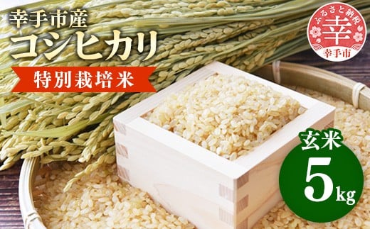 【令和7年産】有機肥料 100% 埼玉県幸手市産特別栽培コシヒカリ 玄米 5kg - 2025年10月1週目より順次発送 新米発送 コシヒカリ こしひかり 米 玄米 5kg 有機肥料 特別栽培幸手市産 埼玉県 幸手市