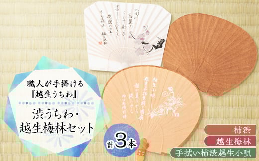 渋うちわ・越生梅林セット【1498486】