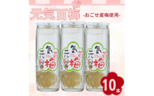 元気百梅 10本入り【1640863】