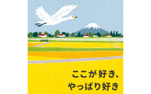 町長におまかせ			
