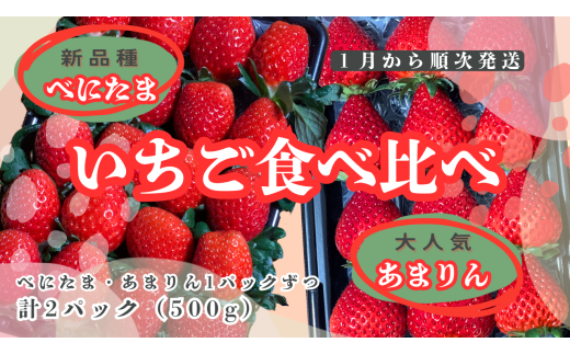 ※先行受付【いちご食べ比べ】人気あまりん 新品種べにたま 2品種食べ比べ どらちゃん農園
