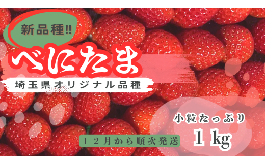 ※先行受付【新品種べにたま】朝採れ!いちごべにたま1kg  どらちゃん農園 人気 あまりん 小粒たっぷり 希少国産 埼玉県 川島町産 完熟いちご 期間限定