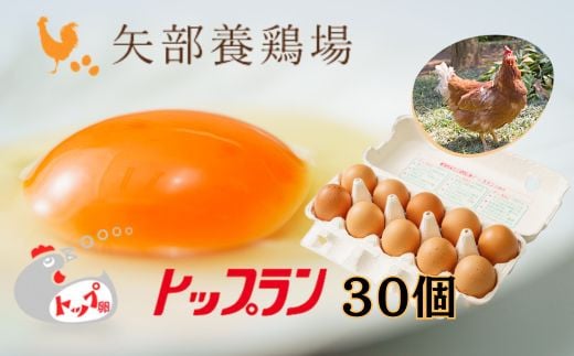 【矢部養鶏場のたまご】こだわりのブランドたまご　トップラン30個（10個パック×3）お取り寄せ 新鮮 ニワトリ 鶏 卵 たまご 玉子 タマゴ 卵かけご飯 TKG 人気 おすすめ 矢部養鶏場 川島町 埼玉