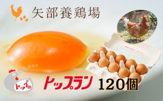 【矢部養鶏場のたまご】こだわりのブランドたまご　トップラン120個（10個パック×12）お取り寄せ 新鮮 ニワトリ 鶏 卵 たまご 玉子 タマゴ 卵かけご飯 TKG 人気 おすすめ 矢部養鶏場 川島町 埼玉