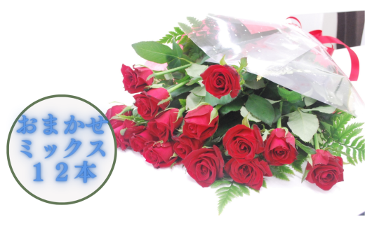 【生産者直送】バラの花束（花色おまかせミックス12本程度）長さ60㎝未満　薔薇 花束 プレゼント 記念日 フラワーアレンジメント