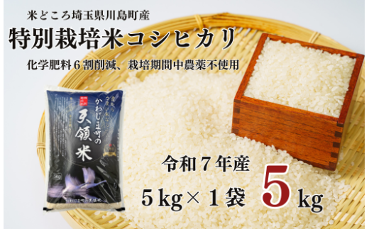 【先行受付】令和7年産米 9月中発送予定 特別栽培米 コシヒカリ 白米 5kg (5kg×1袋)食味値80以上 栽培期間中農薬不使用 有機肥料 かわじま町の天領米 令和7年産 2025年産 小分け 米 コメ 安心 安全  減農薬 埼玉県認証 埼玉県 川島町