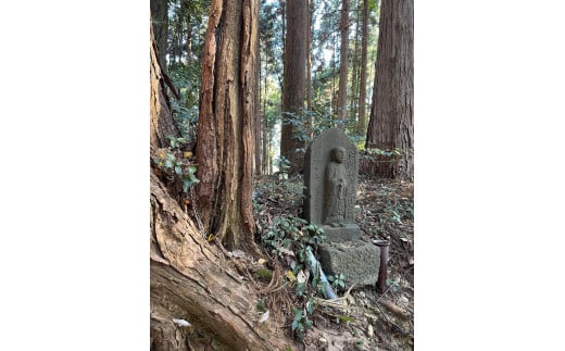 慈光寺歴史ツアーペア利用券（２名様） B009