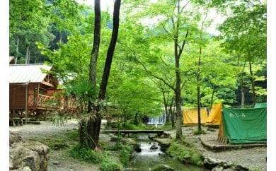 木のむらキャンプ場「利用券」A038
