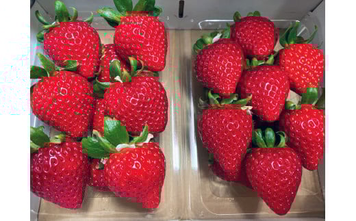 【数量限定】埼玉県オリジナルいちご品種「あまりん」2パック（横瀬町・おきうね農園）