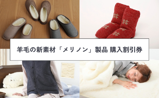 【割引券】羊毛の新素材「メリノン」製品 購入割引券（10,000円分）【秩父 横瀬町 羊毛 スリッパ パジャマ 靴下 掛毛布 敷毛布 帽子 マフラー ベスト ブランケット レッグウォーマー】