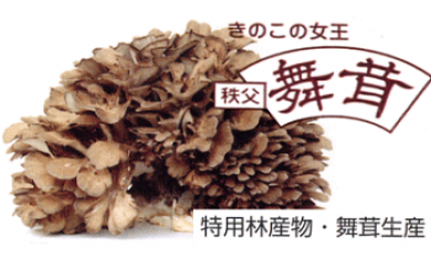 マイタケ(きのこの女王 秩父まいたけ)2株入り