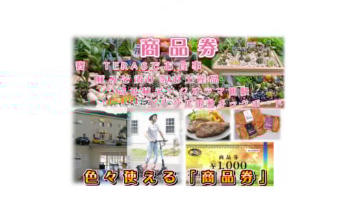 秩父名物料理店「寳　TERAS」商品券9,000円分＜お食事・お土産品・体験＞にも利用できます【1203003】