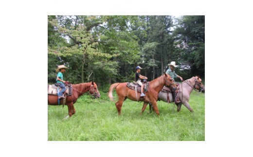 乗馬体験と馬とのふれあいコース　1名【1427725】