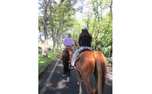 公道での乗馬～ちょっと道草ライド～1名(中学生以上)【1427727】