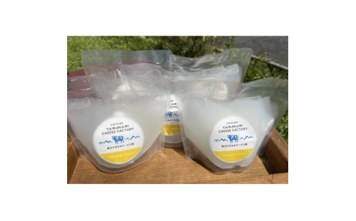 「ジャパン・チーズ・アワード2024」銀賞　秩父産ナチュラルチーズ　モッツアレラ100g×5個【1654403】