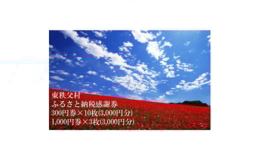 東秩父村ふるさと納税感謝券6,000円分(1,000円券×3枚、300円券×10枚)【1303895】