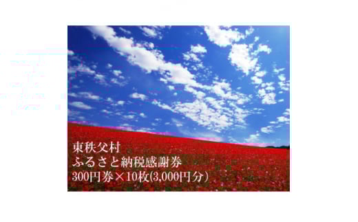 東秩父村ふるさと納税感謝券3,000円分(300円券×10枚)【1303889】