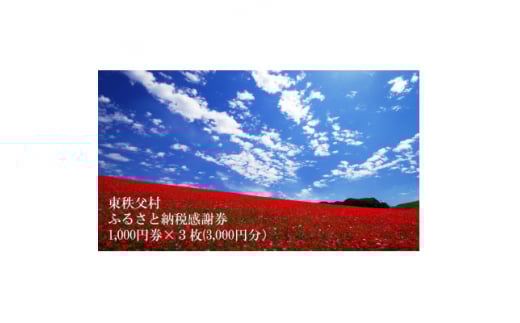 東秩父村ふるさと納税感謝券3,000円分(1,000円×3枚)【1345207】