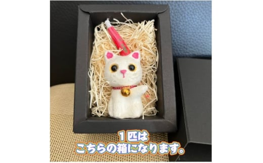 笠山猫(かさやまねこ)(2)ともにゃん【1457356】