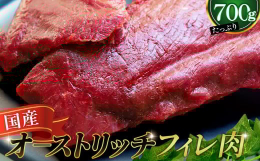 国産オーストリッチフィレ肉700g [No.066]