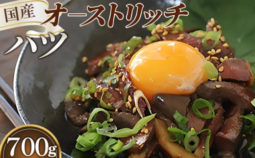 国産オーストリッチハツ700g [No.067]