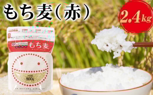 埼玉県産もち麦（赤）2.4kg（800g×3袋）[No.173]