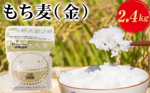 埼玉県産もち麦（金）2.4kg（800g×3袋）[No.175]