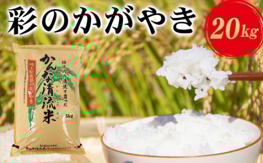 埼玉県産「彩のかがやき」20kg（10kg×2袋） [No.185]