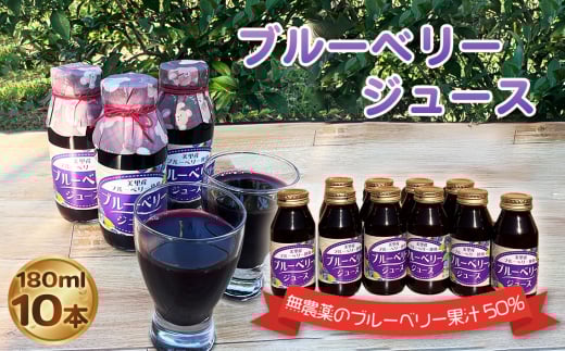 ブルーベリージュース（180ml）10本セット ／ 無農薬 手頃 飲みやすい 果汁50% ティフブルー ドリンク 詰合せ 埼玉県 特産品 [No.230]