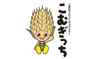 町の魅力を全国へ情報発信
