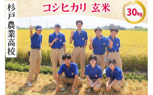 新米 コシヒカリ (玄米) 30kg 農業高校生が本気で育てた逸品！埼玉県立杉戸農業高等学校 生物生産技術科 作物専攻 ※色彩選別済！｜数量限定 期間限定 米 おこめ うるち米 玄米 ご飯 ごはん こしひかり 農業高校 国産 埼玉県 さいたま 杉戸町 [0632]