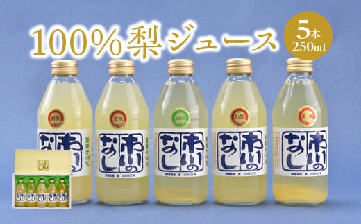 【12203-0050】果汁１００％梨ジュース　250ml×5本セット