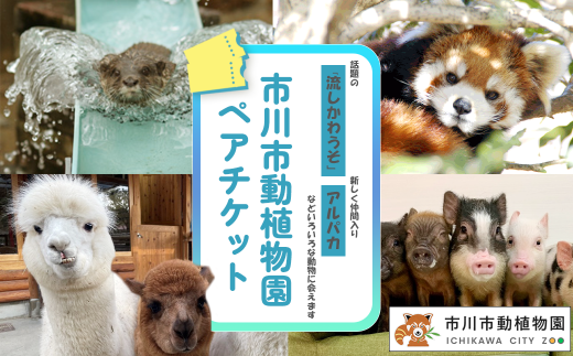 市川市動植物園ペアチケット 【12203-0195】